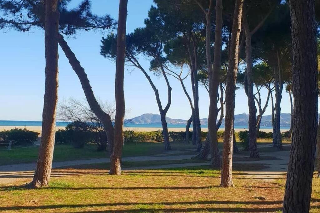 Joli Studio Cabine 4 Personnes A 300 M De La Plage 滨海阿热莱斯 外观 照片